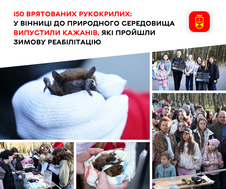 150 врятованих рукокрилих: у Вінниці до природного середовища випустили кажанів, які пройшли зимову реабілітацію